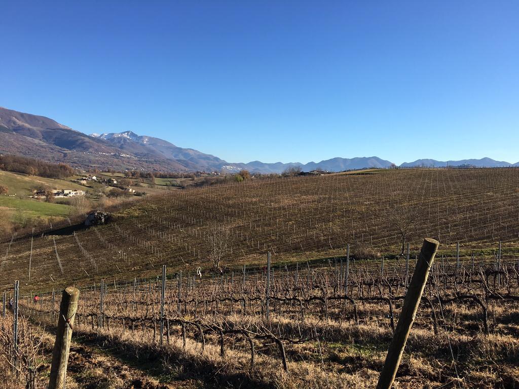 Agriturismo Di Charme Erbadoro Villa Alvito Kültér fotó