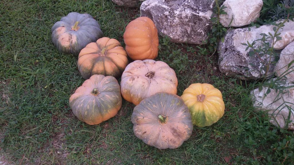 Agriturismo Di Charme Erbadoro Villa Alvito Kültér fotó