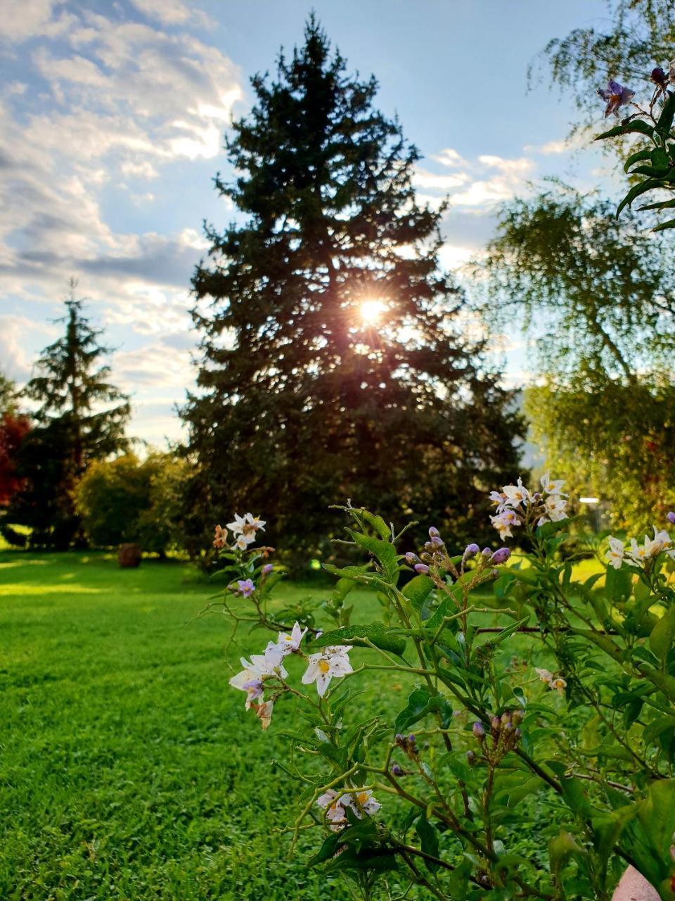 Agriturismo Di Charme Erbadoro Villa Alvito Kültér fotó